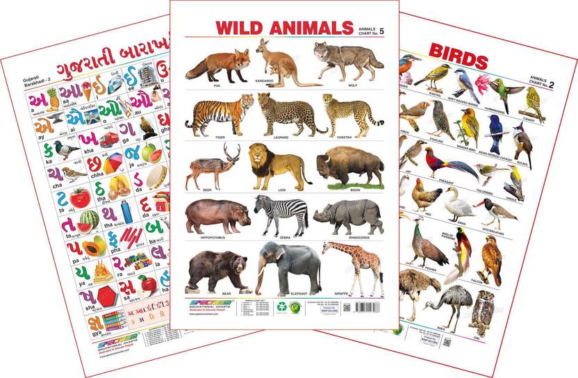Spectrum Set Of 3 Educational Wall Charts Gujarati