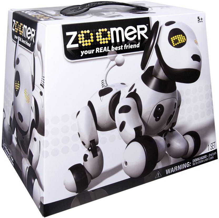 Zoomer Zoomer Price In India Buy Zoomer Zoomer Online At Flipkart Com