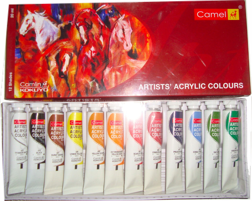 Camlin Artist Acrylic Colours(700-L-12)(Set of 1, Assorted)