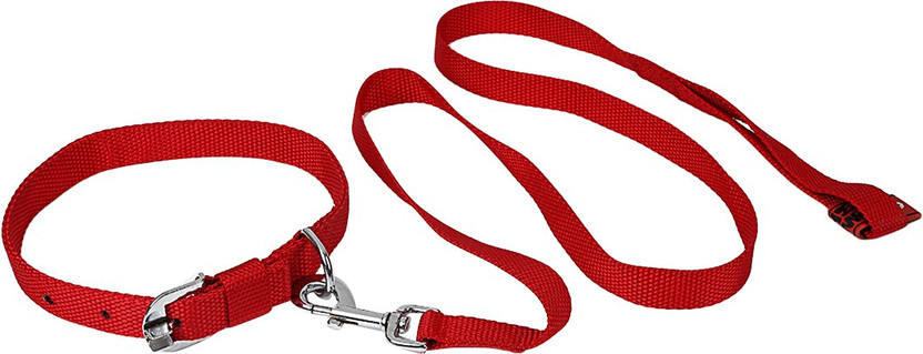 TommyChew Regular Dog Everyday Collar(Medium, Red)