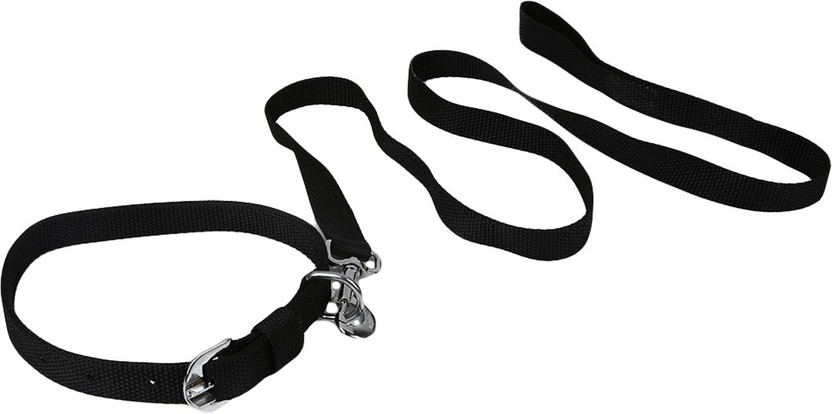 TommyChew Regular Dog Everyday Collar(Medium, Black)