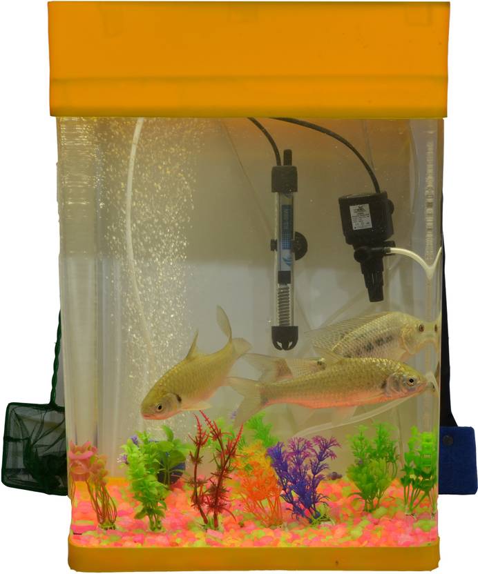 cornered acrylic aquarium fish house