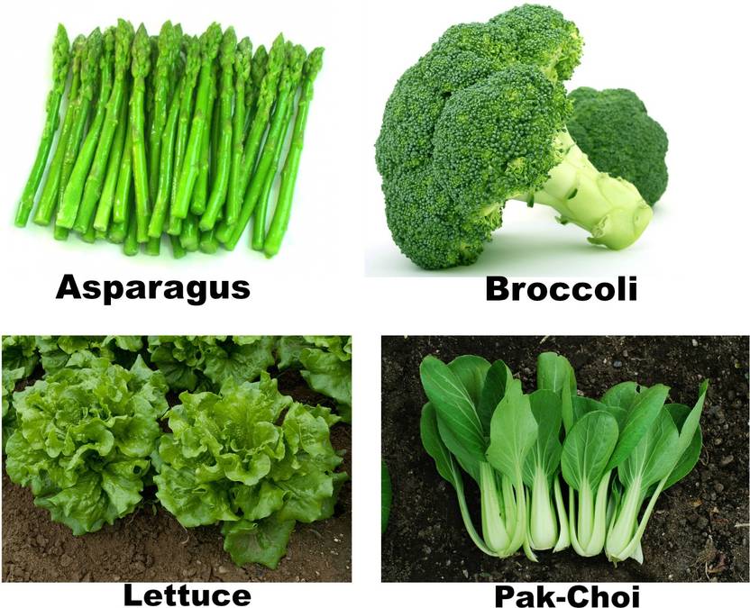 Easy Gardening Asparagus, Broccoli, Lettuce, Pak choi Seed Price in