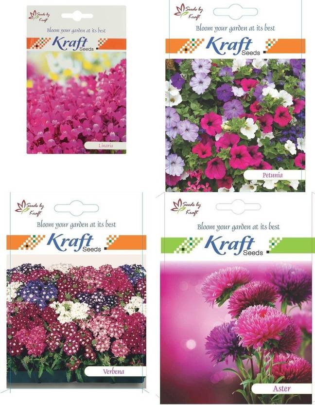 Kraft Seeds Winter Flower Seeds Combo [Pack Of 10 Flowers] Seed Price