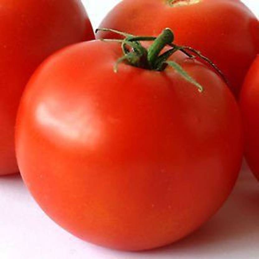 Nooelec India Tomato Large Red Avimanyu Non Gmo Fruit Vegetable Nooelec India Tomato Large Red Avimanyu Non Gmo Fruit Vegetable Seeds Seed