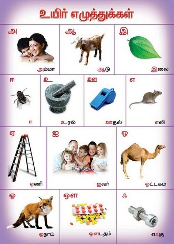 Tamil Alphabet Chart For Kids Alphabet Image And Picture.