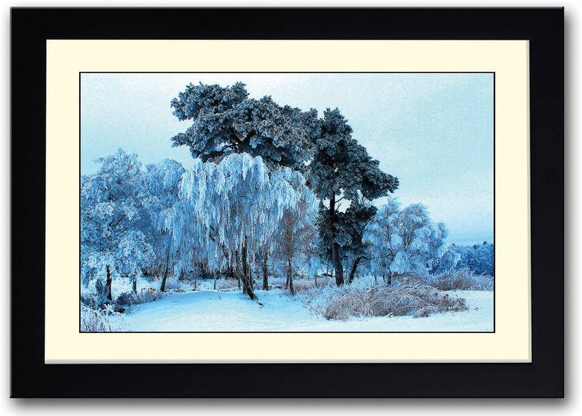 Snow Covered Trees Amazing Fine Art Print Nature Posters