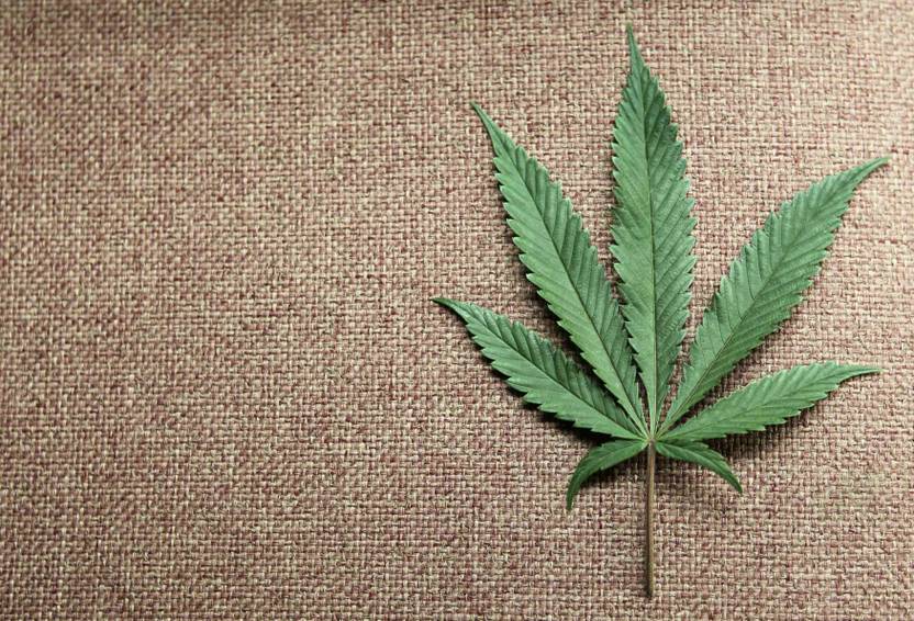 Weed On A Jute Sheet Photographic Paper Floral Botanical
