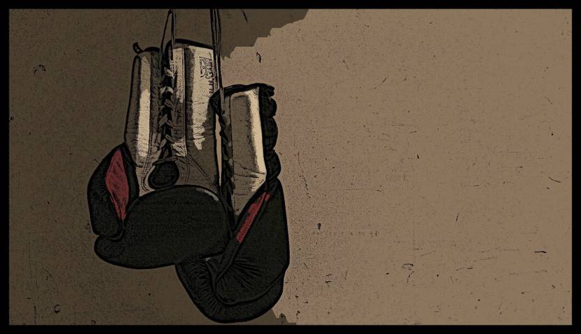 shoping inc boxing gloves