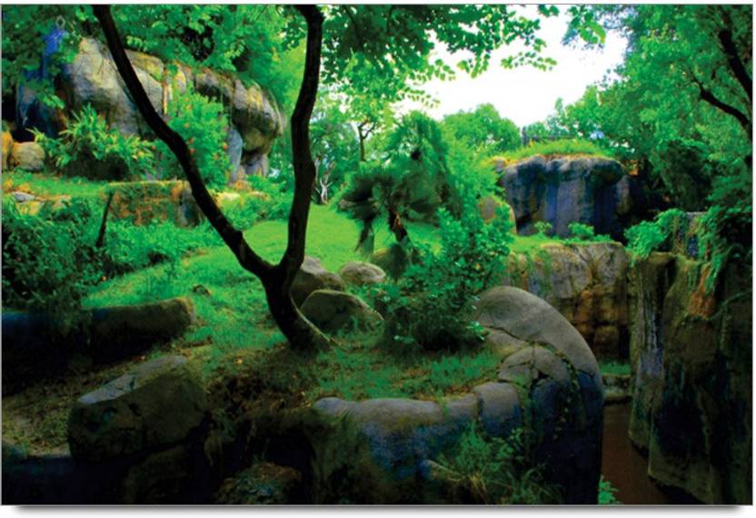 amy forest scenery 3d