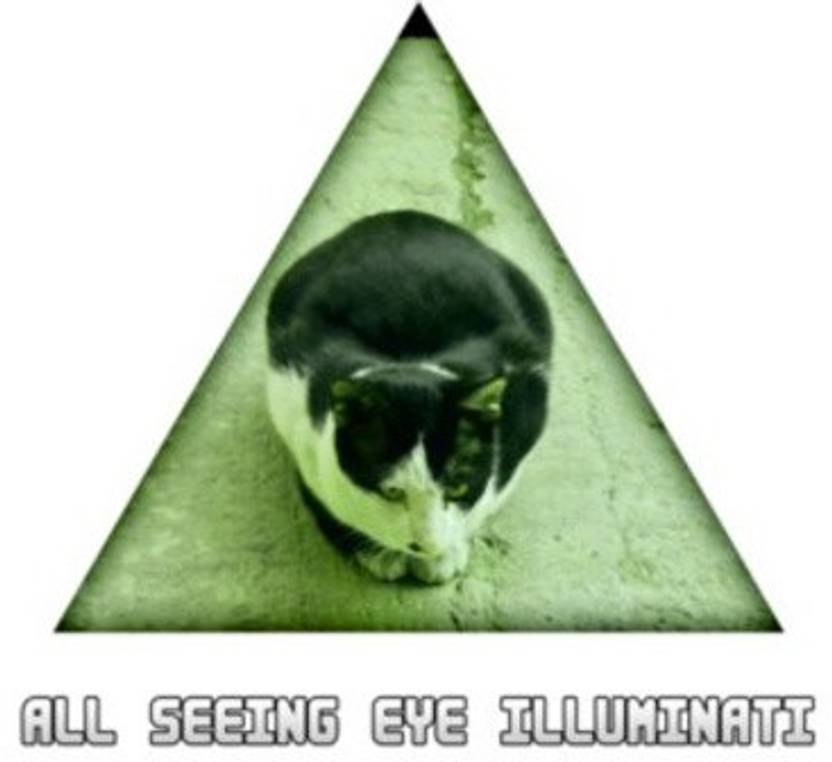 All Seeing Eye Illuminati Cat Wall Art Artist Nitin