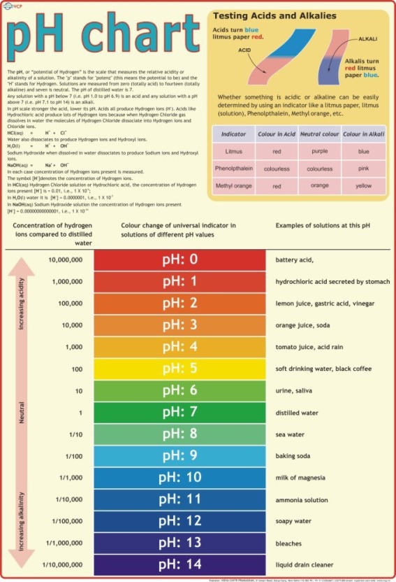Dbios Digitally Printed pH Scale Chemistry Education Wall Chart Poster