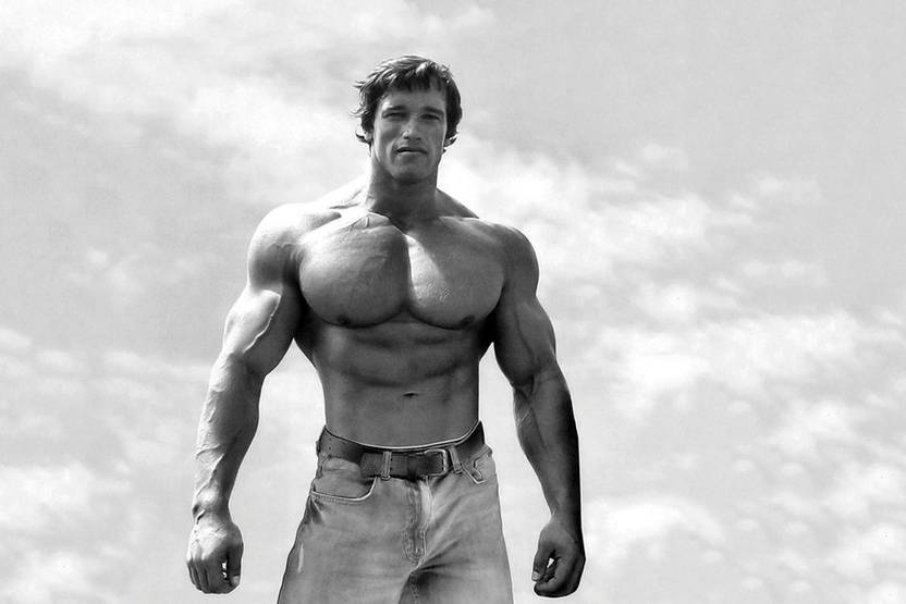 Arnold Schwarzenegger Paper Print Quotes Motivation Posters In