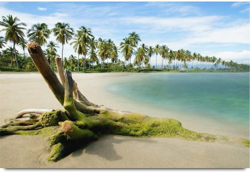 Sea Beach Nature Paper Print Nature Posters In India Buy