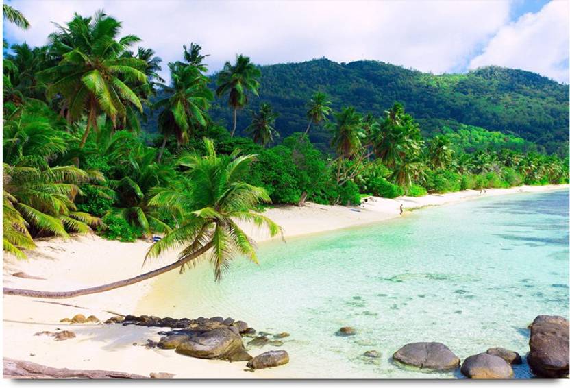 Beautiful Sea Beach Paper Print Nature Posters In India