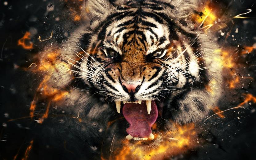 tiger a3 hd poster