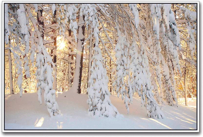 Heavy Snow On Trees Paper Print Nature Posters In India