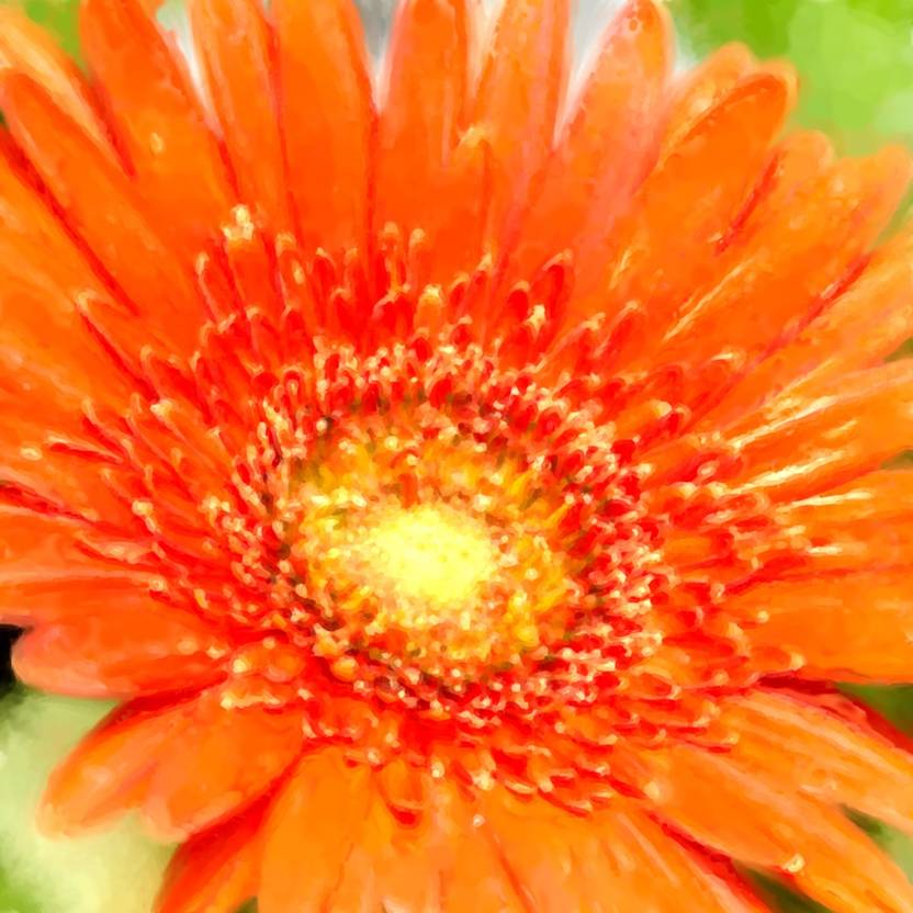 Colourful Flowers 92 Canvas Art Pixtopper Artist Community