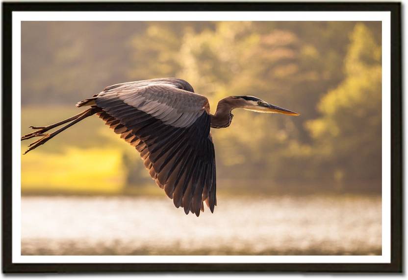 Flying Birds Paper Print Animals Posters In India Buy