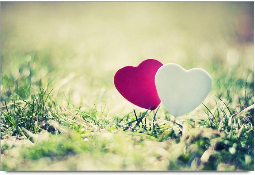 Amy Love Heart Couple Nature 3d Poster Nature Posters In India