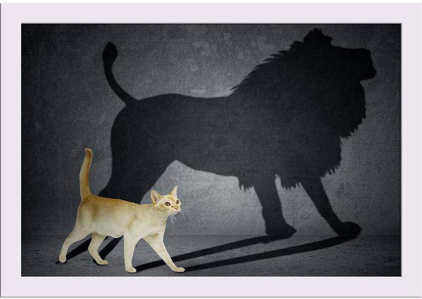 Cat With Lion Shadow On The Wall Framed Art Print Paper