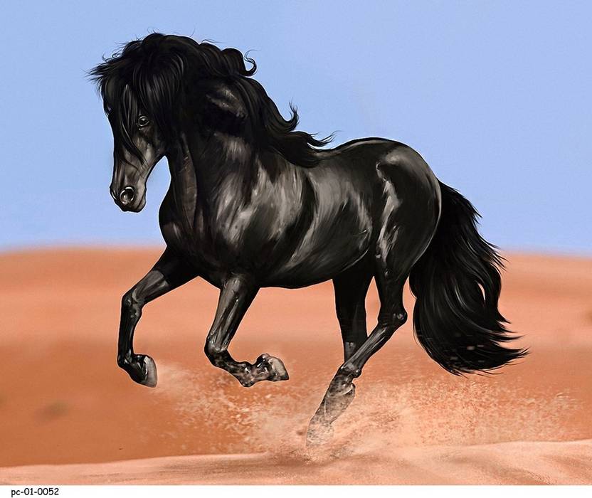 Without Frame Black Horse 08 1 Canvas Art Animals