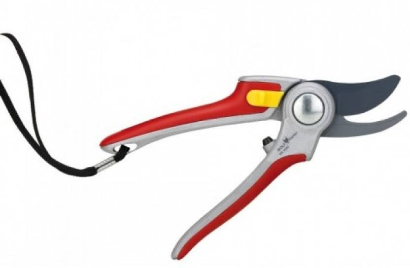 Wolf Garten Rr 5000 Bypass Pruner Price In India Buy Wolf Garten