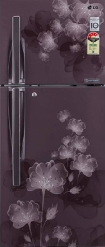 LG 284 L Frost Free Double Door Refrigerator