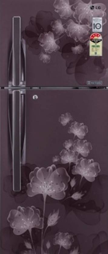 LG 284 L Frost Free Double Door Refrigerator