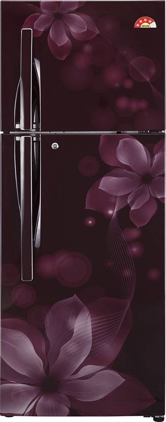 LG 284 L Frost Free Double Door Refrigerator