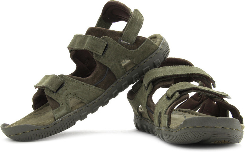 WOODLAND Men Olive, Brown Sports 