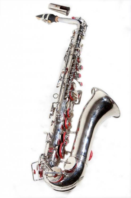 NASIR ALI altosax saxalto Alto Saxophone Price in India Buy NASIR