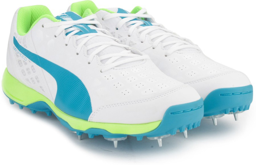 puma evospeed 1.4 cricket shoes