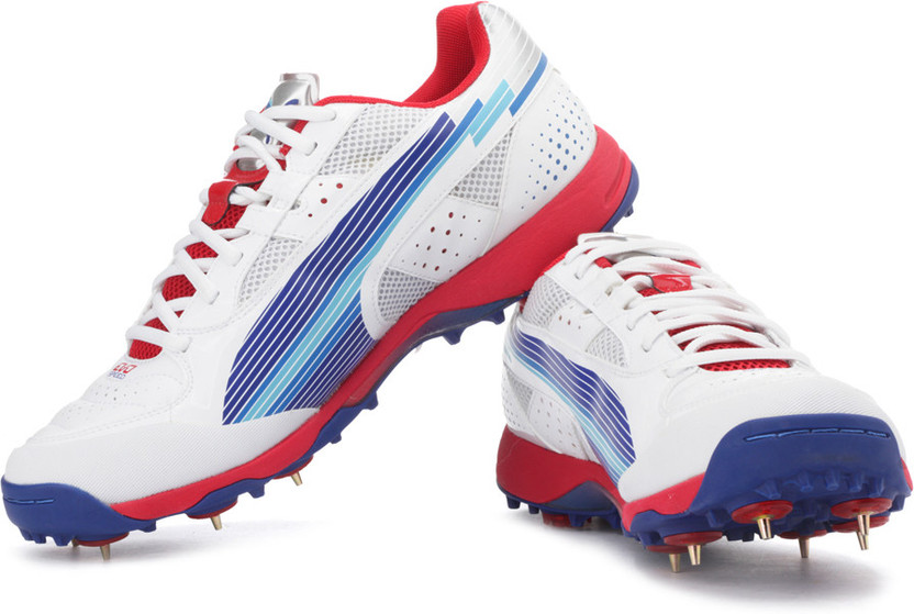puma evospeed cricket shoes review