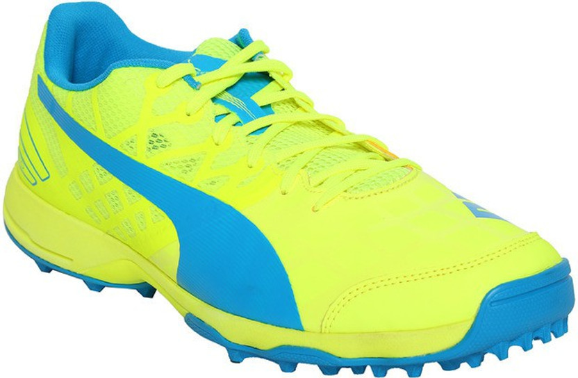puma evospeed 3.4 cricket shoes