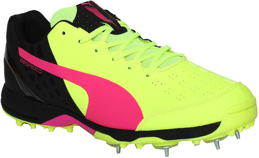 puma evospeed 1.4 cricket shoes