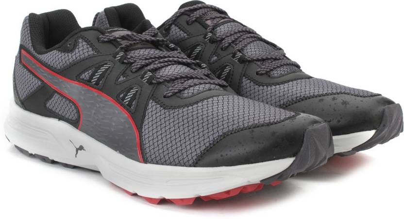 puma descendant tr puma descendant tr