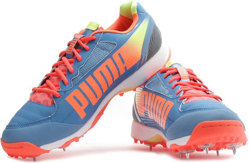 puma evospeed 1.2 cricket shoes