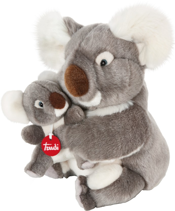 koala trudi