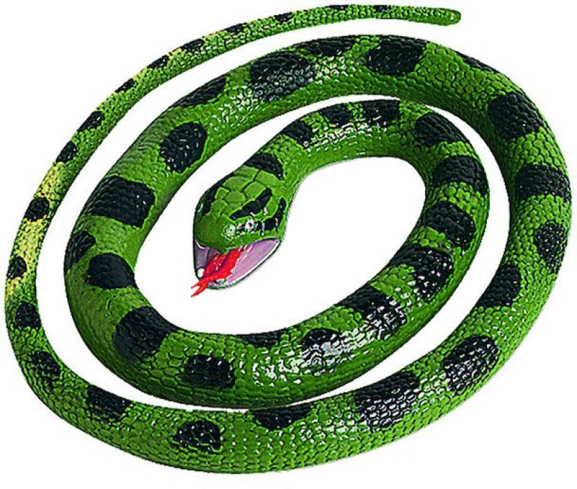 Anaconda Snake In India - Anaconda Gallery