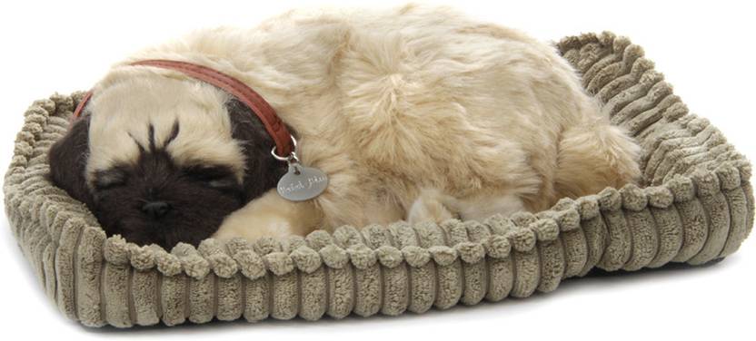 petzzz pug petzzz pug pug shop for petzzz products in india toys for 3 7 petzzz pug petzzz pug pug shop for petzzz products in india toys for 3 7