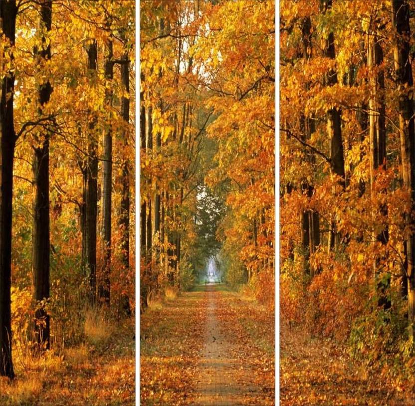 Go Hooked Orange And Yellow Mdf 3 Panel Wallpaper In India Go Hooked Orange And Yellow Mdf 3 Panel Wallpaper