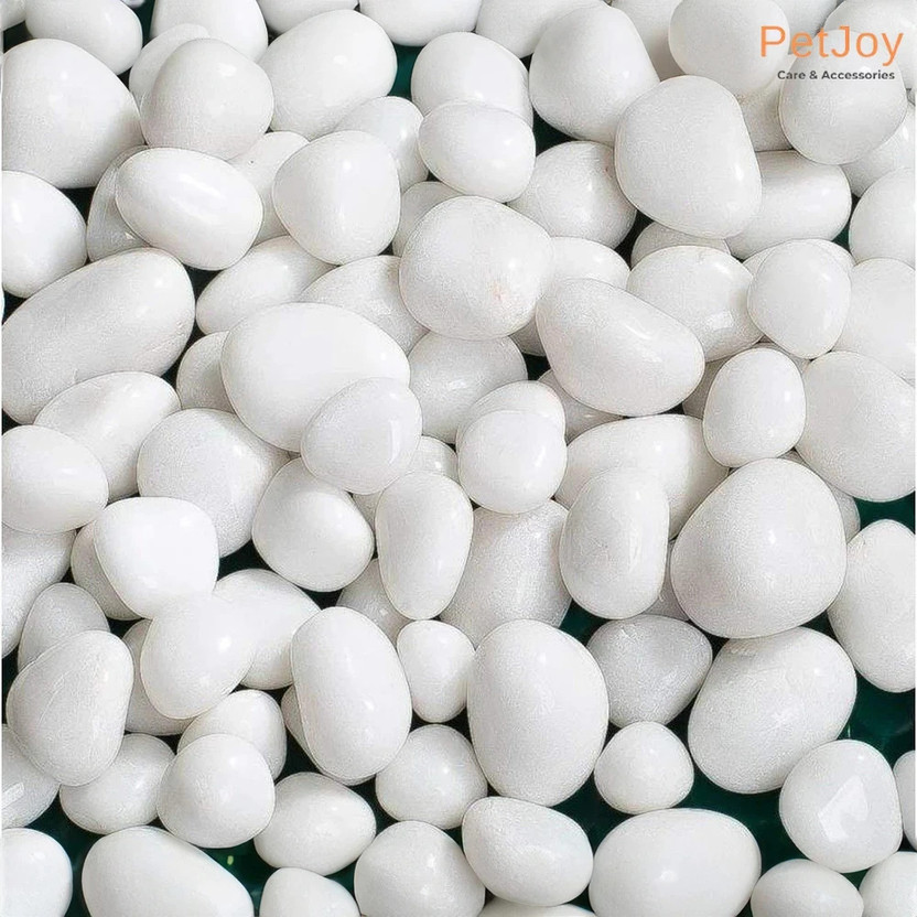 PetJoy White Pebbles- 2Kg (2.5cm - 4cm) |Aquarium Fish Tank |Unplanted Substrate Gravel Unplanted Substrate(White, 2 kg)