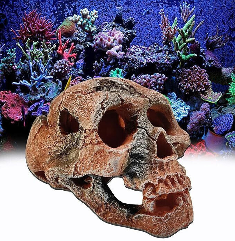 GIG BAZAAR Aquarium Exotic Environments Human Skull for Shelter Caves Decoration Laterite Unplanted Substrate(Multicolor, 0.3 kg)