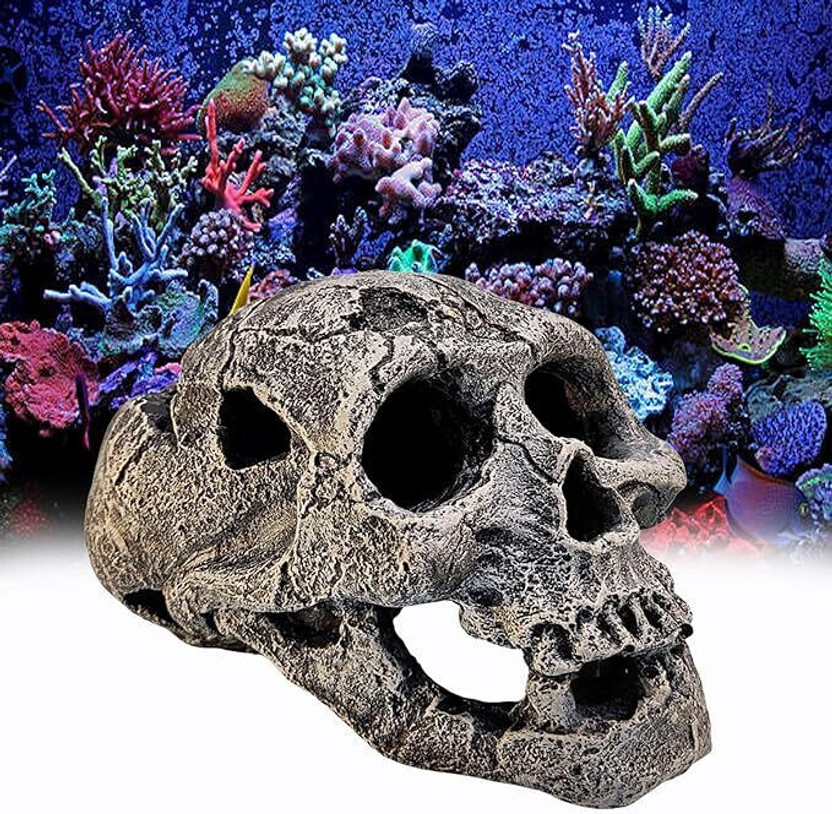 GIG BAZAAR Aquarium Exotic Environments Human Skull for Shelter Caves Decoration Laterite Unplanted Substrate(Grey, 0.3 kg)