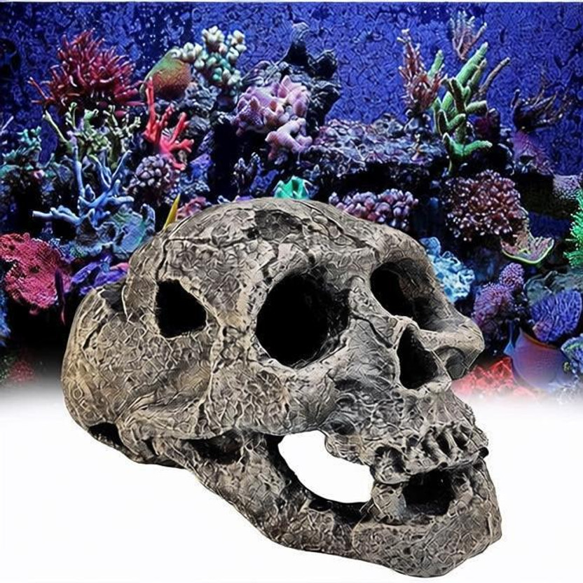 GIG BAZAAR Aquarium Exotic Environments Human Skull for Shelter Caves Decoration Laterite Unplanted Substrate(Grey, 0.3 kg)