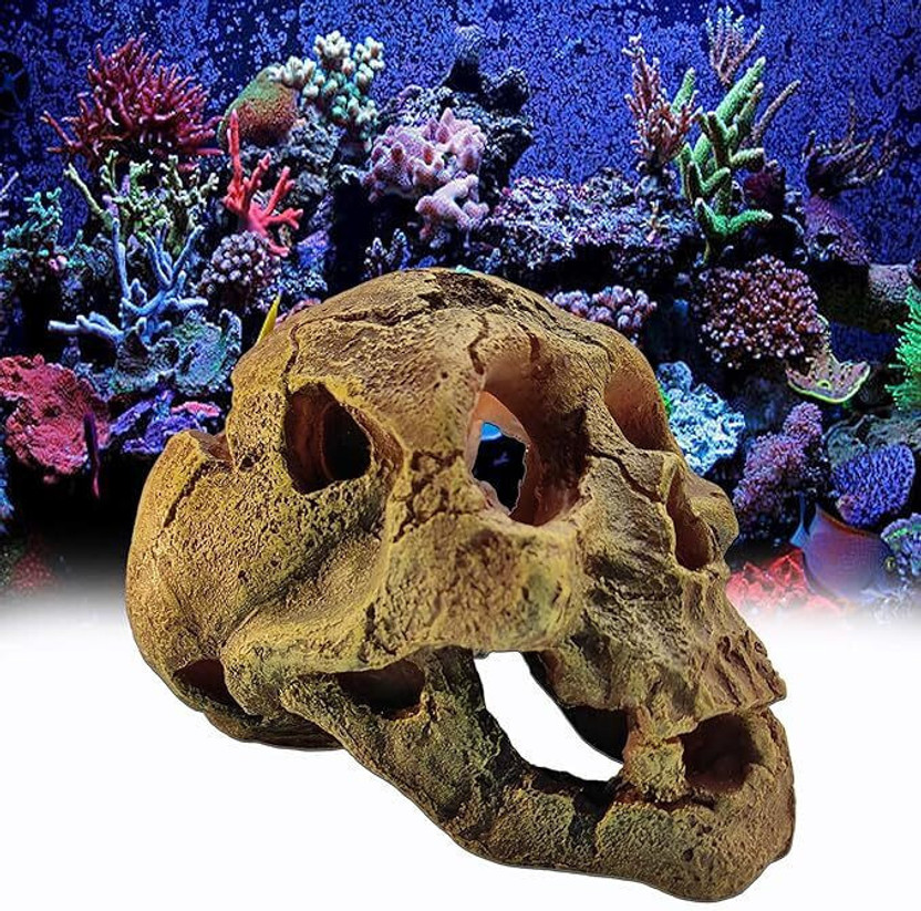 GIG BAZAAR Aquarium Exotic Environments Human Skull for Shelter Caves Decoration Laterite Unplanted Substrate(Yellow, 0.3 kg)