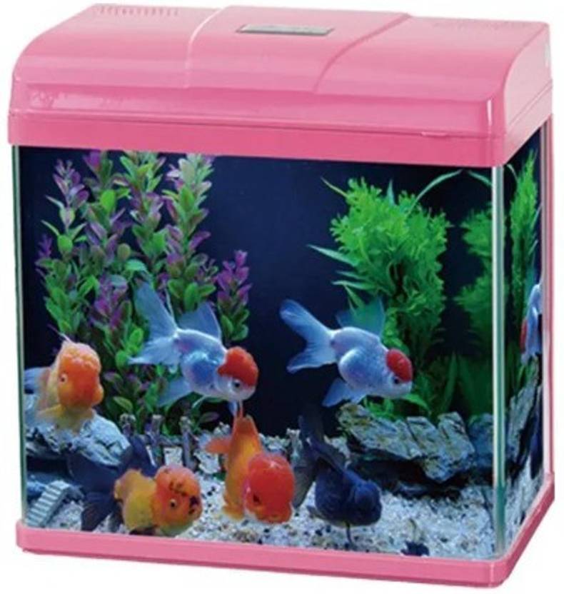 Paradise MIN I BETTA TANK Crushed Coral Planted Substrate Price in