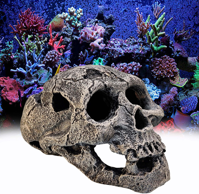 GIG BAZAAR Aquarium Exotic Human Skull Shelter Cave Decoration Hideaway for Aquatic Pets Laterite Unplanted Substrate(Grey, 0.3 kg)