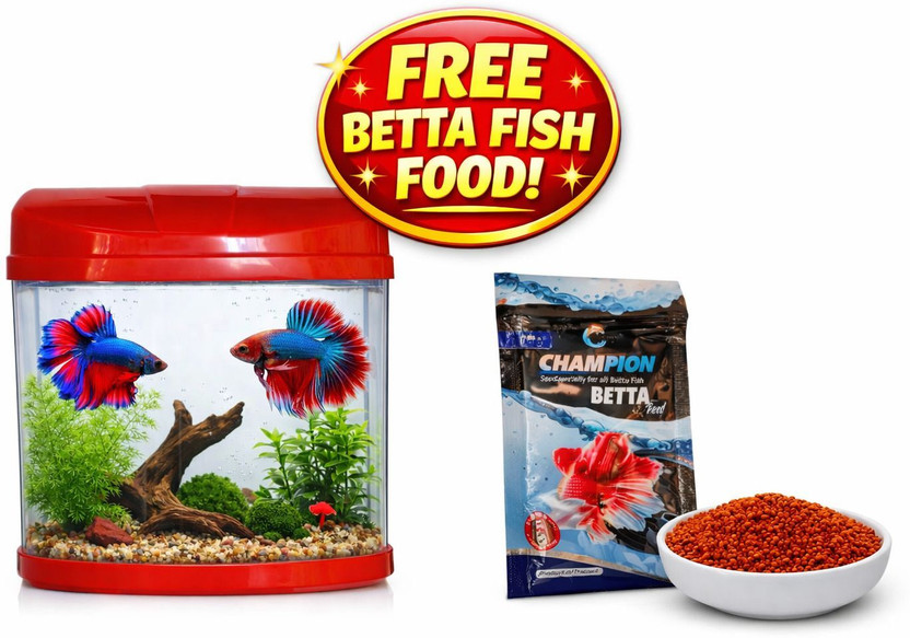 HNS Mini Aquarium Betta tank with free betta fish food/Color may vary Rectangle Aquarium Tank(2.3 L)